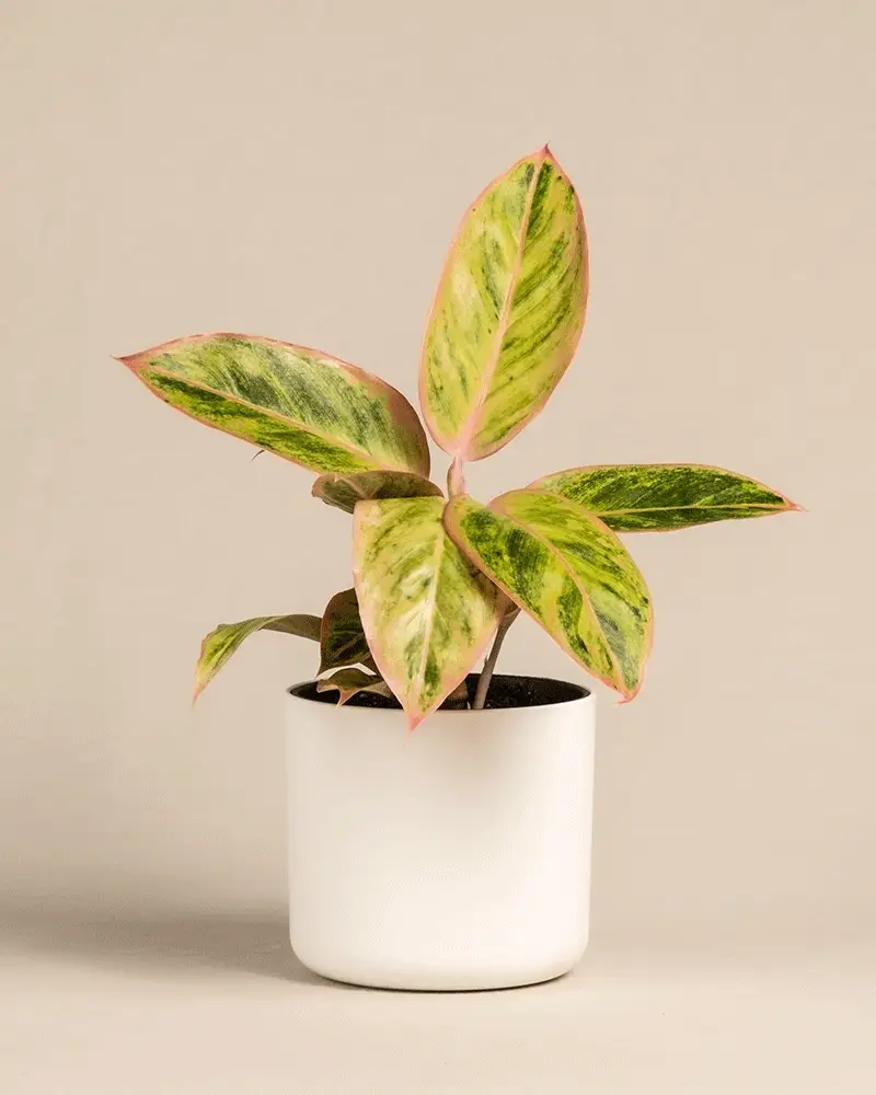 Produktbild 8
