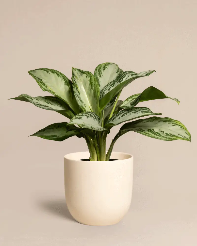 Produktbild 6