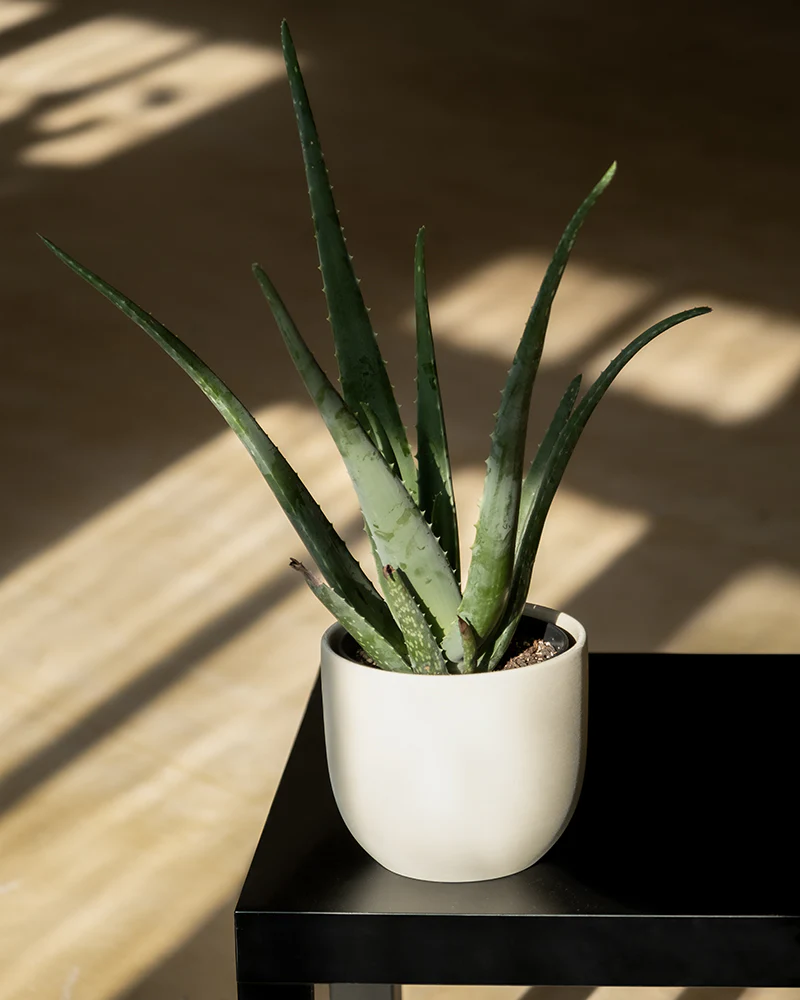 Produktbild 4