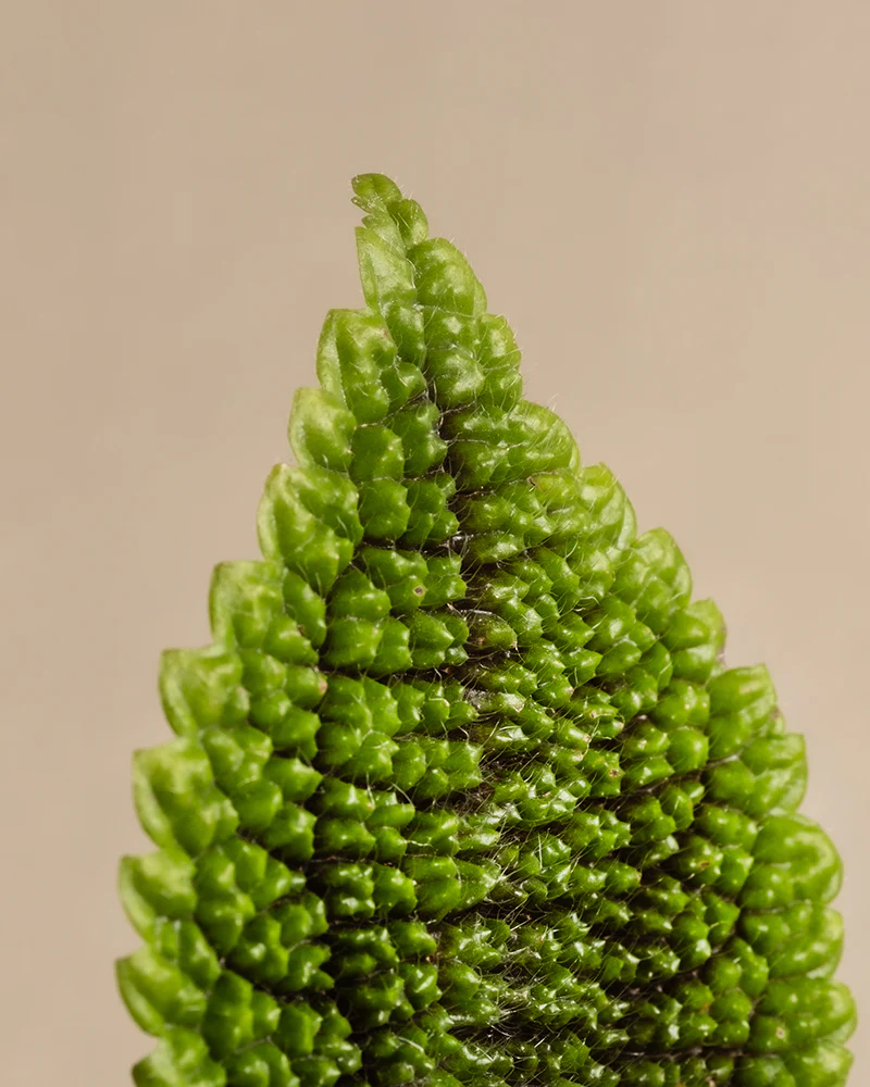 Produktbild 7