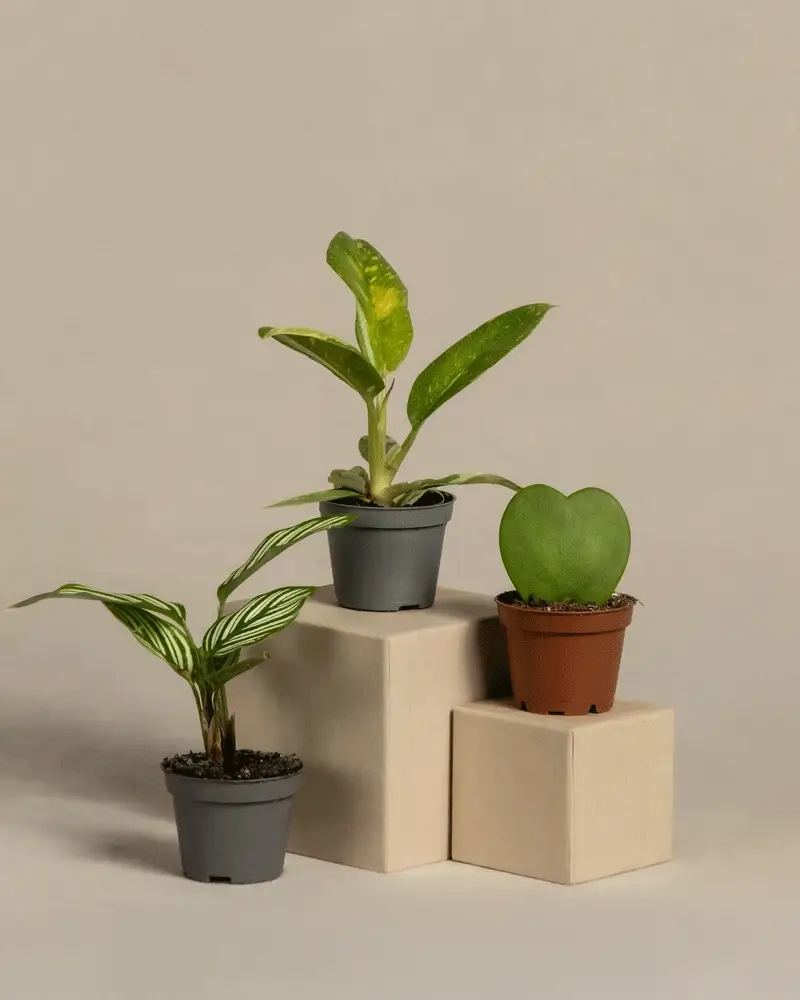 Produktbild 3