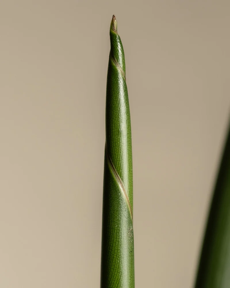 Produktbild 7