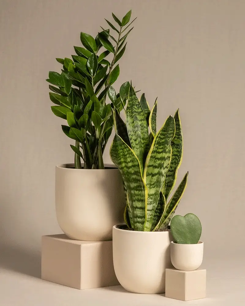 Produktbild 5